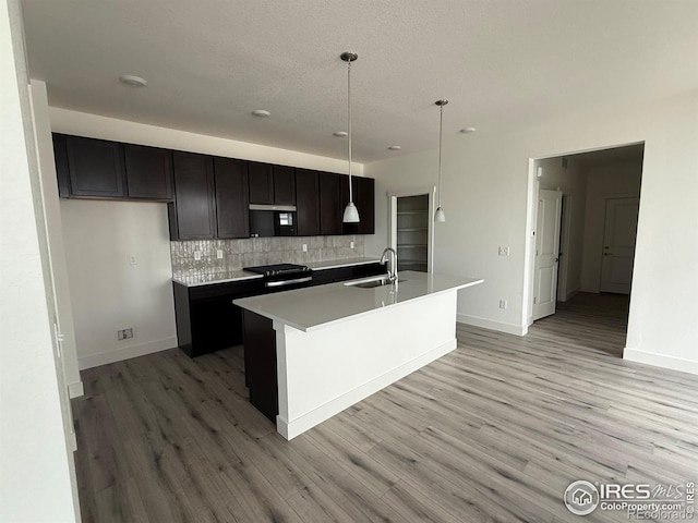 6113 Zebulon Pl, Timnath, CO 80547 - kitchen featuring a sink, tasteful backsplash, light wood-style floors, and baseboards