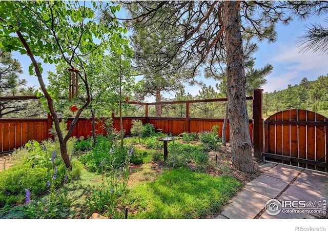 114 Jade Way, Lyons, CO 80540 - fenced yard with a gate