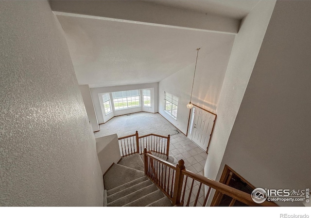 678 Mcclure Ct, Erie, CO 80516 - stairway featuring carpet flooring, a textured wall, and vaulted ceiling