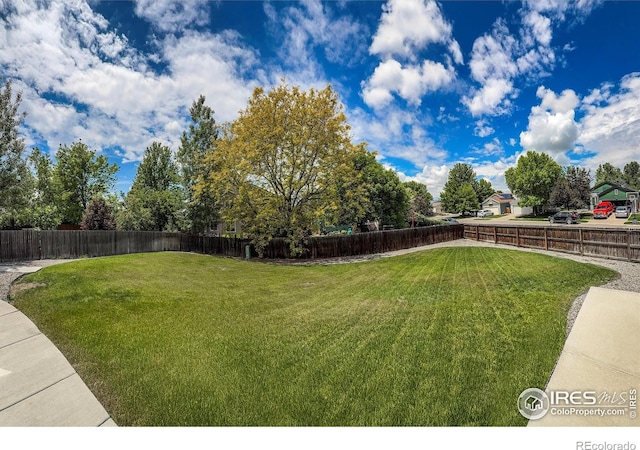 678 Mcclure Ct, Erie, CO 80516 - view of yard