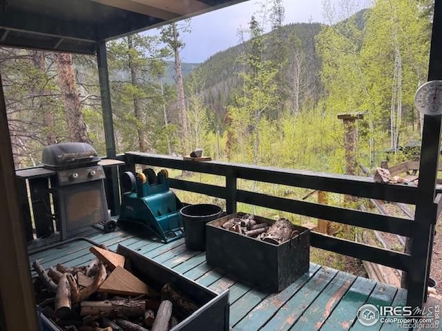 13348 Pingree Park Rd, Bellvue, CO 80512 - photo 3