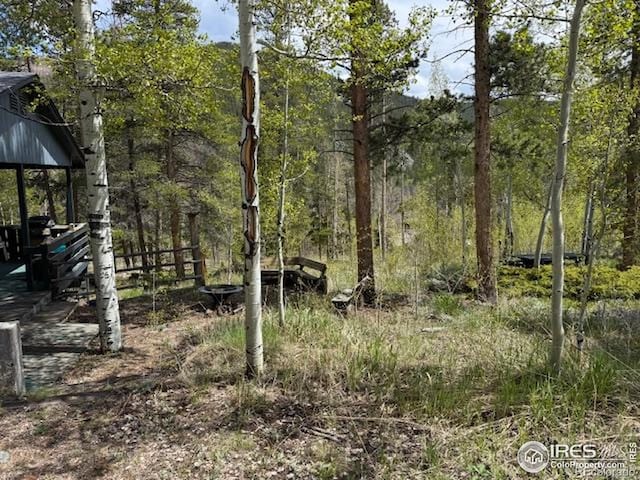 13348 Pingree Park Rd, Bellvue, CO 80512 - photo 4