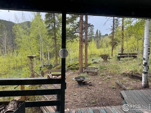 13348 Pingree Park Rd, Bellvue, CO 80512 - photo 5