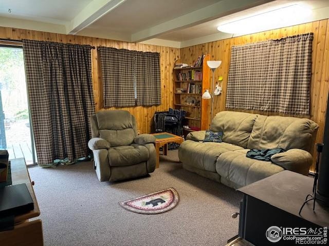 13348 Pingree Park Rd, Bellvue, CO 80512 - photo 6