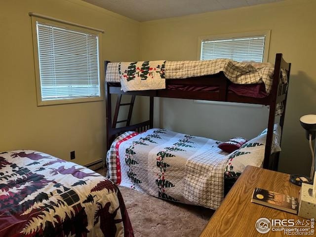 13348 Pingree Park Rd, Bellvue, CO 80512 - photo 12
