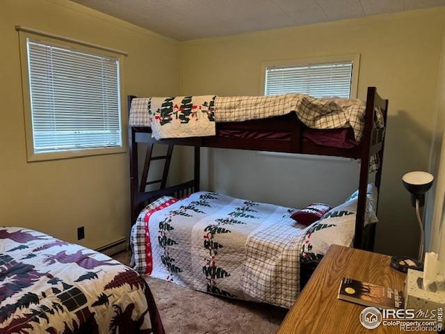 13348 Pingree Park Rd, Bellvue, CO 80512 - photo 13