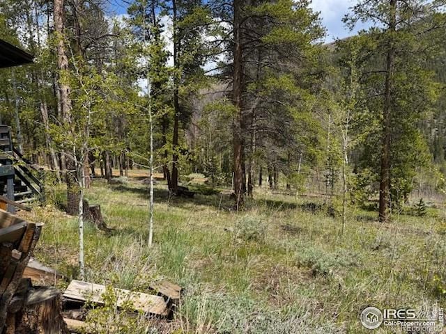 13348 Pingree Park Rd, Bellvue, CO 80512 - photo 16