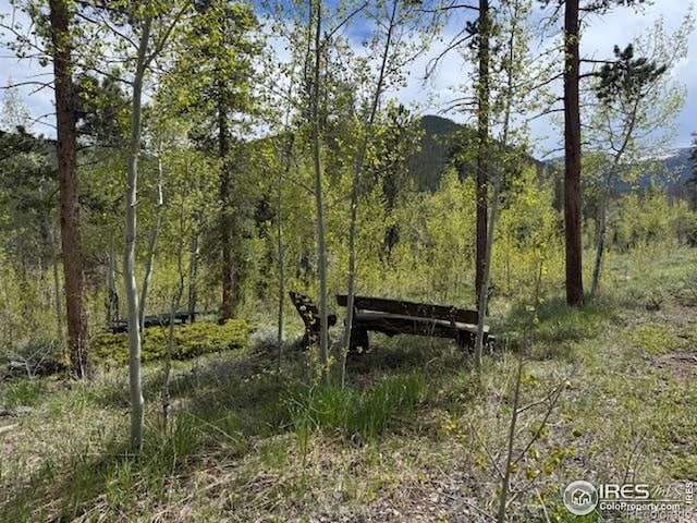 13348 Pingree Park Rd, Bellvue, CO 80512 - photo 17