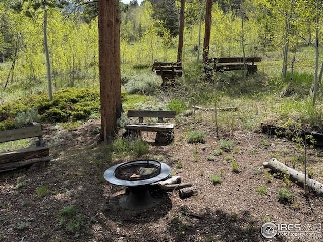 13348 Pingree Park Rd, Bellvue, CO 80512 - photo 19