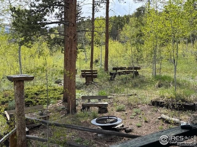 13348 Pingree Park Rd, Bellvue, CO 80512 - photo 20