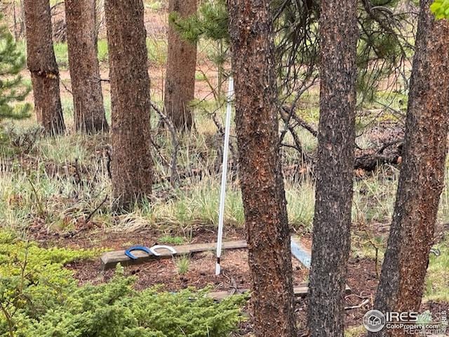 13348 Pingree Park Rd, Bellvue, CO 80512 - photo 24