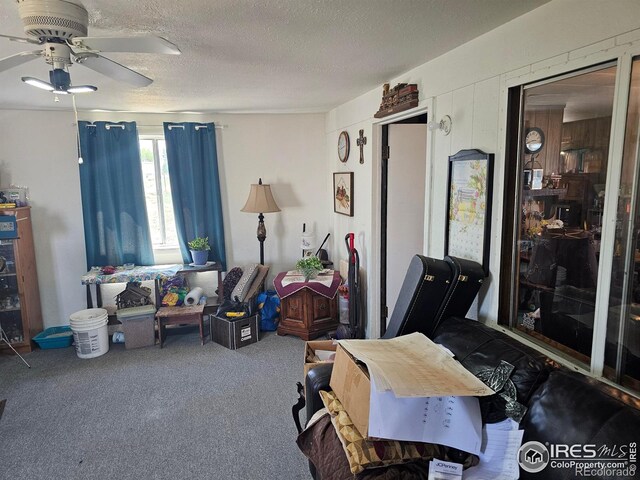 18527 County Road 16, Fort Morgan, CO 80701 - photo 23