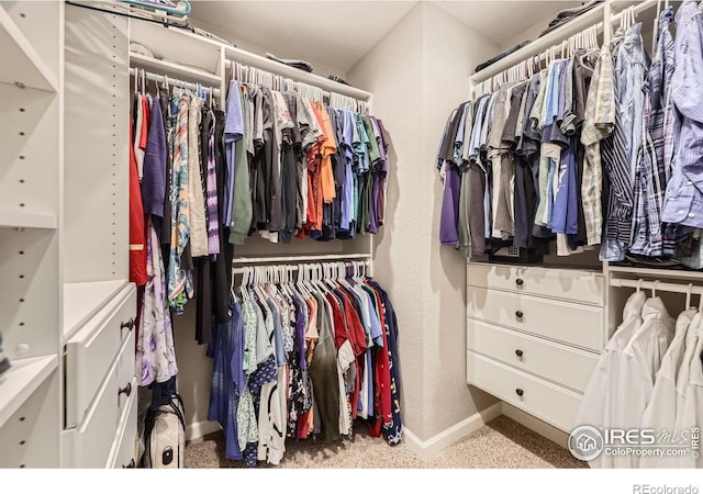 2447 E 100th Way, Thornton, CO 80229 - spacious closet with carpet
