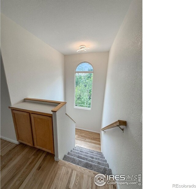 4947 Noble Park Pl, Boulder, CO 80301 - photo 23