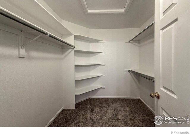 4947 Noble Park Pl, Boulder, CO 80301 - photo 27