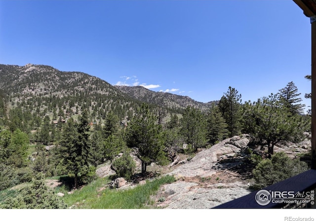 187 Wichita Rd, Lyons, CO 80540 - photo 30