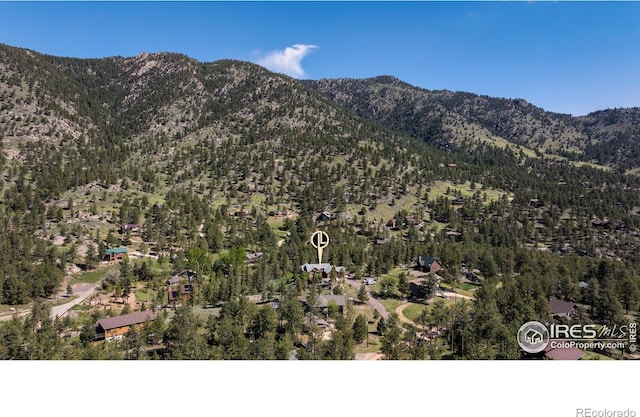187 Wichita Rd, Lyons, CO 80540 - photo 36