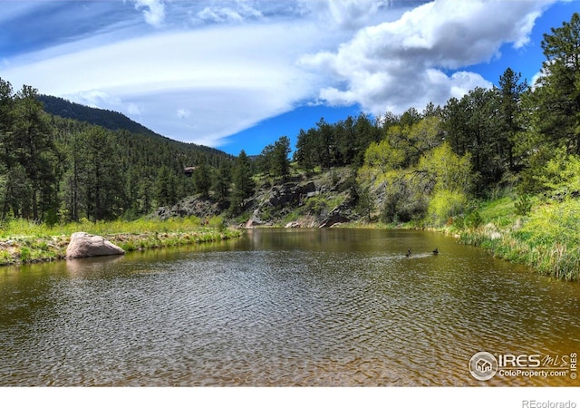 187 Wichita Rd, Lyons, CO 80540 - photo 38