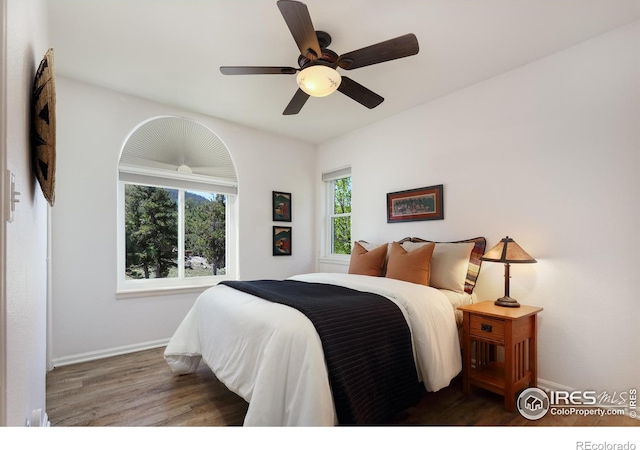 187 Wichita Rd, Lyons, CO 80540 - photo 19