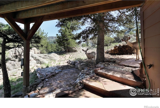187 Wichita Rd, Lyons, CO 80540 - photo 28