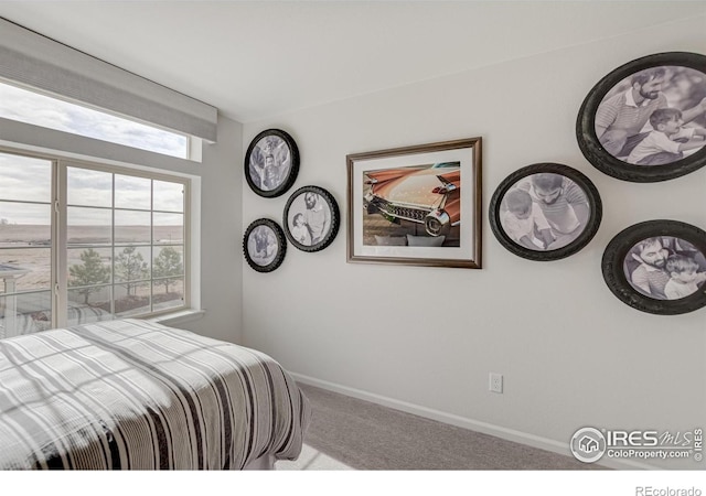 3615 Valleywood Ct, Johnstown, CO 80534 - photo 18