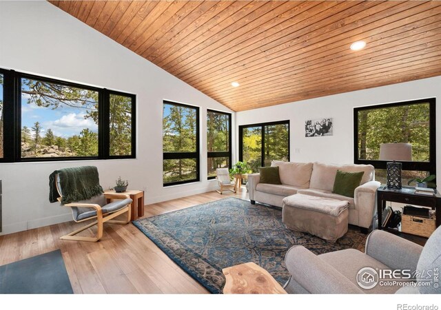 111 Elk Trl, Red Feather Lakes, CO 80545 - photo 10