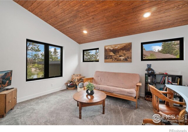 111 Elk Trl, Red Feather Lakes, CO 80545 - photo 21