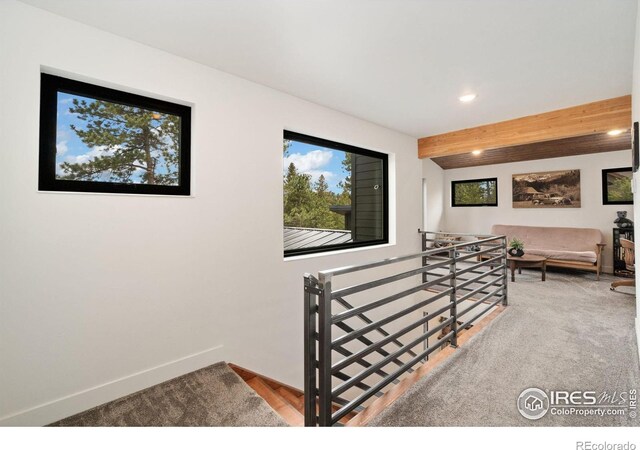 111 Elk Trl, Red Feather Lakes, CO 80545 - photo 23