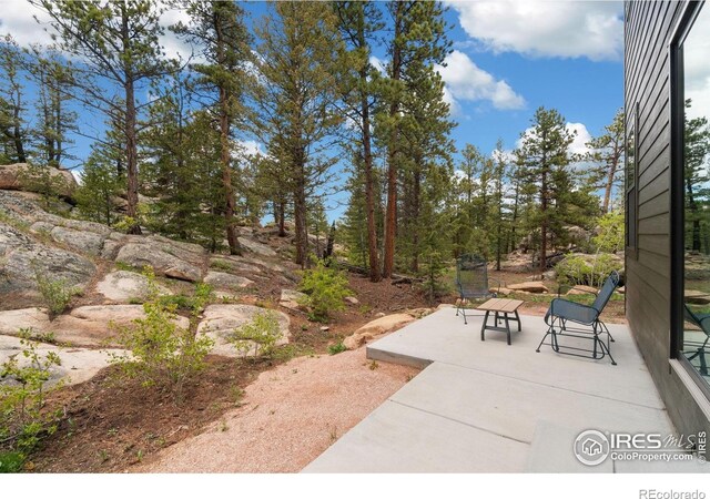 111 Elk Trl, Red Feather Lakes, CO 80545 - photo 25