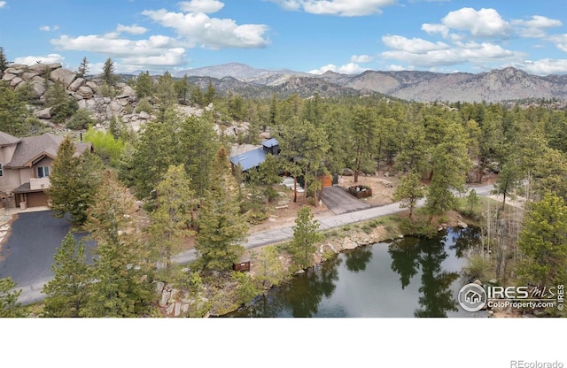 111 Elk Trl, Red Feather Lakes, CO 80545 - photo 28