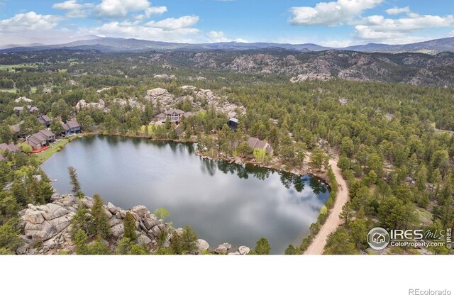111 Elk Trl, Red Feather Lakes, CO 80545 - photo 29
