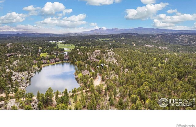 111 Elk Trl, Red Feather Lakes, CO 80545 - photo 30