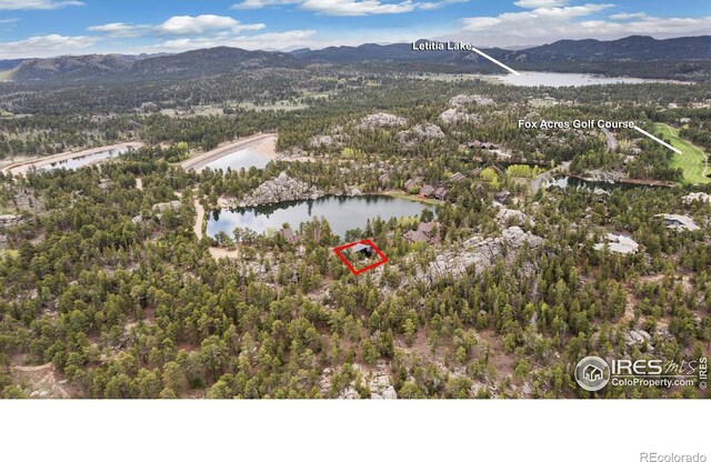 111 Elk Trl, Red Feather Lakes, CO 80545 - photo 31