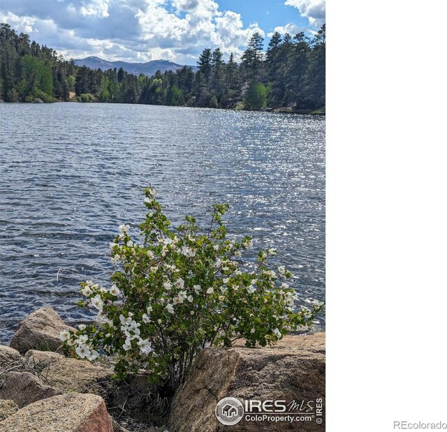 111 Elk Trl, Red Feather Lakes, CO 80545 - photo 34