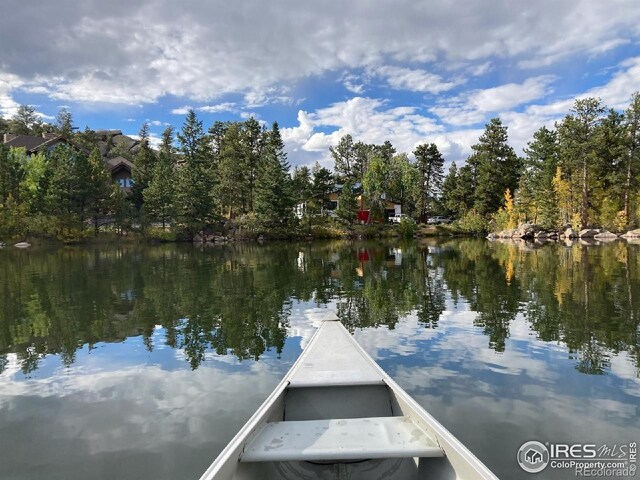 111 Elk Trl, Red Feather Lakes, CO 80545 - photo 35