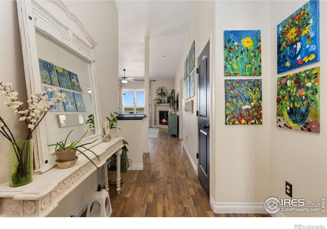 5869 Vinca Ave, Longmont, CO 80504 - hall featuring dark wood-type flooring and baseboards