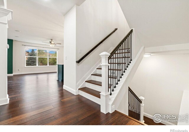 2025 Seagrove Ct, Windsor, CO 80550