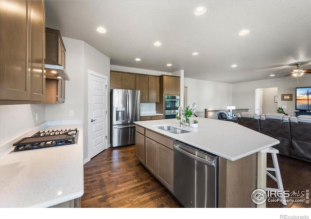 2150 Crop Row Dr, Windsor, CO 80550 - kitchen featuring stainless steel appliances, a sink, open floor plan, dark wood-style flooring, and ceiling fan