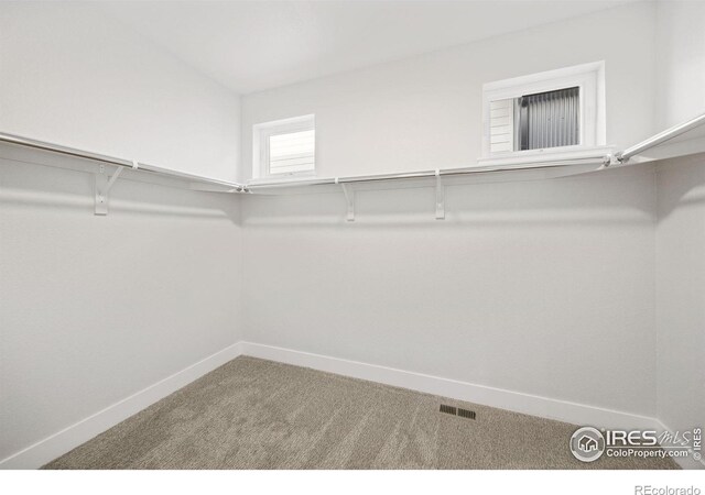 444 Osiander St, Fort Collins, CO 80524 - photo 14