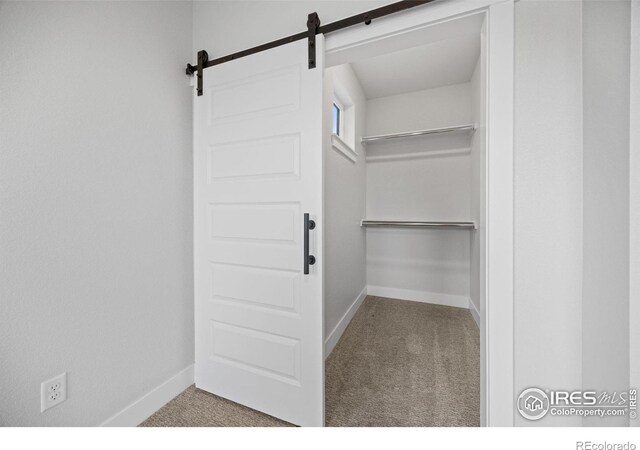 444 Osiander St, Fort Collins, CO 80524 - photo 16