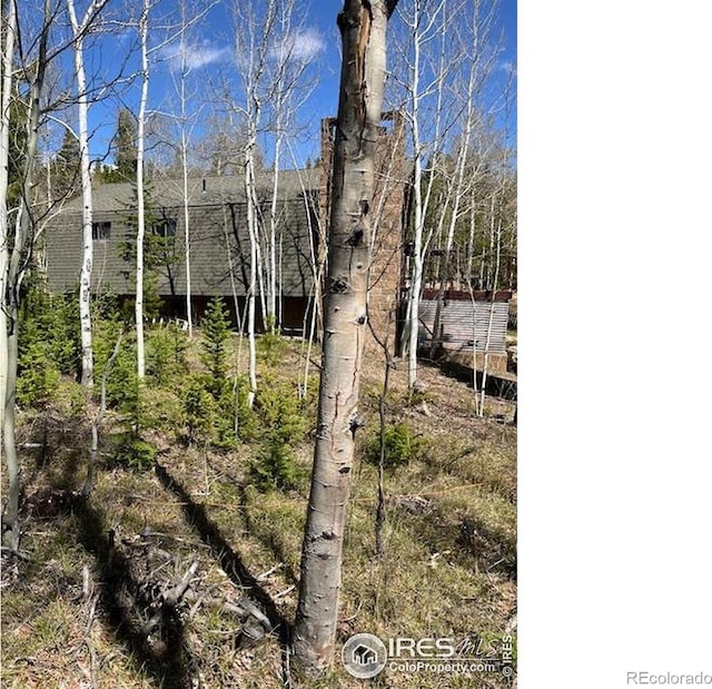 100 Santee Ct, Red Feather Lakes, CO 80545 - view of undeveloped land