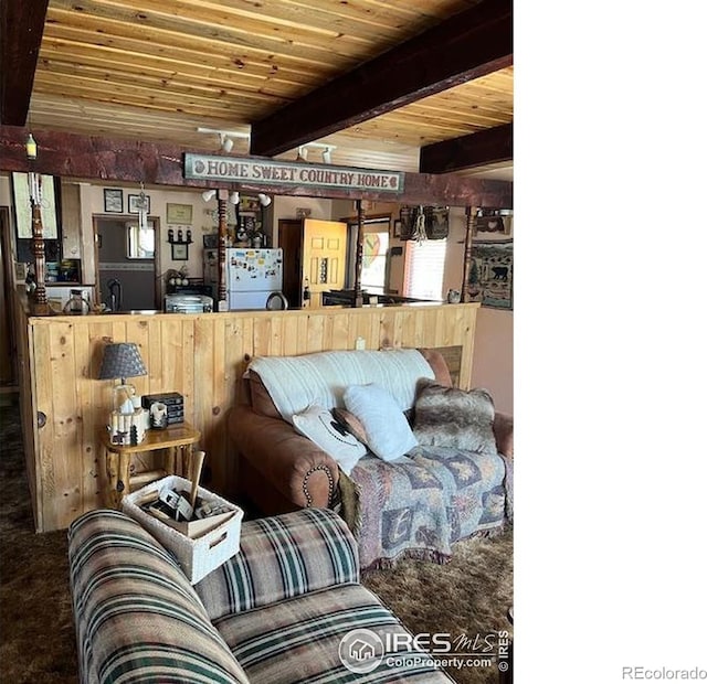 100 Santee Ct, Red Feather Lakes, CO 80545 - carpeted living area featuring wood ceiling with exposed beams
