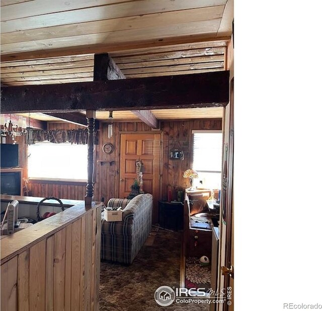 100 Santee Ct, Red Feather Lakes, CO 80545 - carpeted living room with wood walls and healthy amount of natural light
