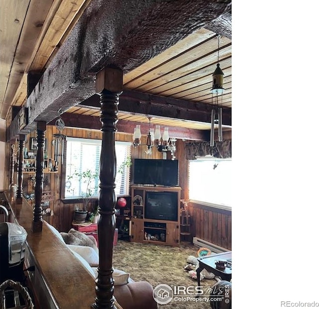100 Santee Ct, Red Feather Lakes, CO 80545 - carpeted living area featuring wooden walls, healthy amount of natural light, a baseboard radiator, and wooden ceiling with exposed beams