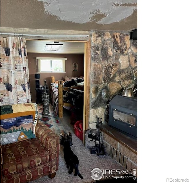 100 Santee Ct, Red Feather Lakes, CO 80545 - carpeted bedroom with a wood stove