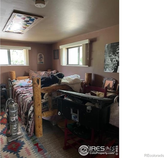 100 Santee Ct, Red Feather Lakes, CO 80545 - bedroom with multiple windows and carpet