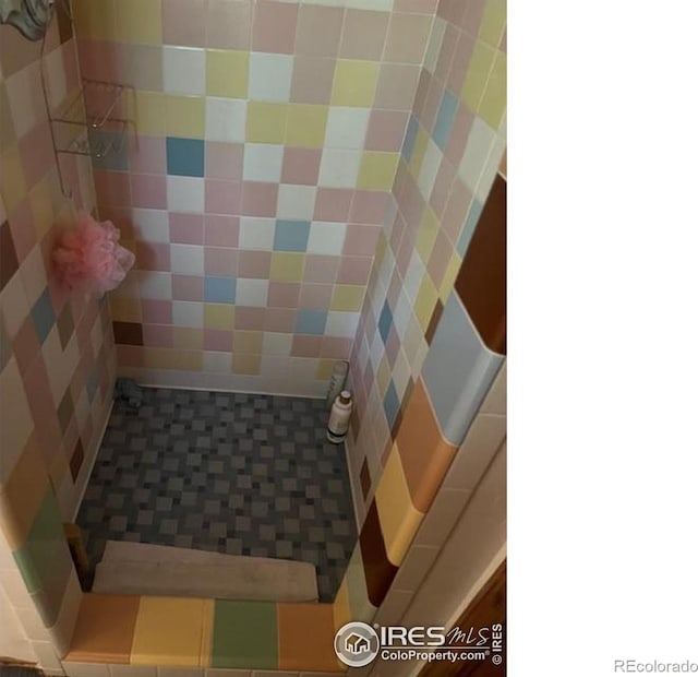100 Santee Ct, Red Feather Lakes, CO 80545 - bathroom with tile walls