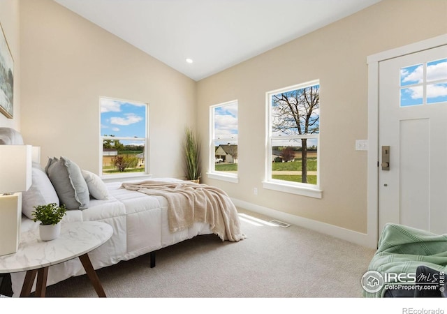 19810 County Road 1, Berthoud, CO 80513 - bedroom featuring vaulted ceiling, carpet floors, and baseboards