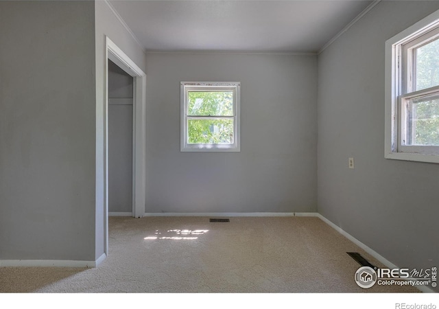 29 Marshall Pl, Longmont, CO 80504 - unfurnished bedroom with crown molding, carpet floors, and baseboards