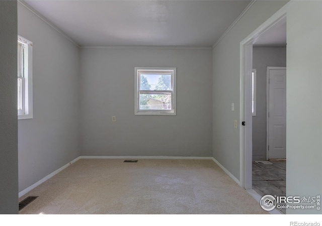 29 Marshall Pl, Longmont, CO 80504 - empty room with ornamental molding, carpet, and baseboards